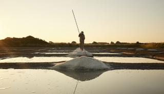 Guérandes et ses marais salants