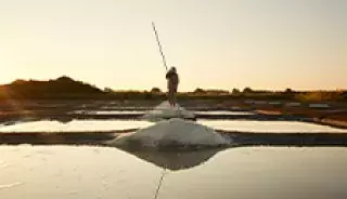 Le sel de Guérande