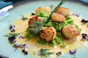 Les Coquilles Saint Jacques 