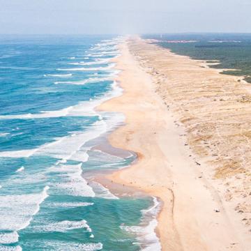 Activités sur la côte Atlantique Sud