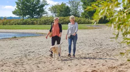Balade au bord du lac au camping de Meerwijck aux Pays-Bas