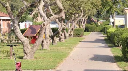 Hébergements au camping In de Bongerd aux Pays-Bas